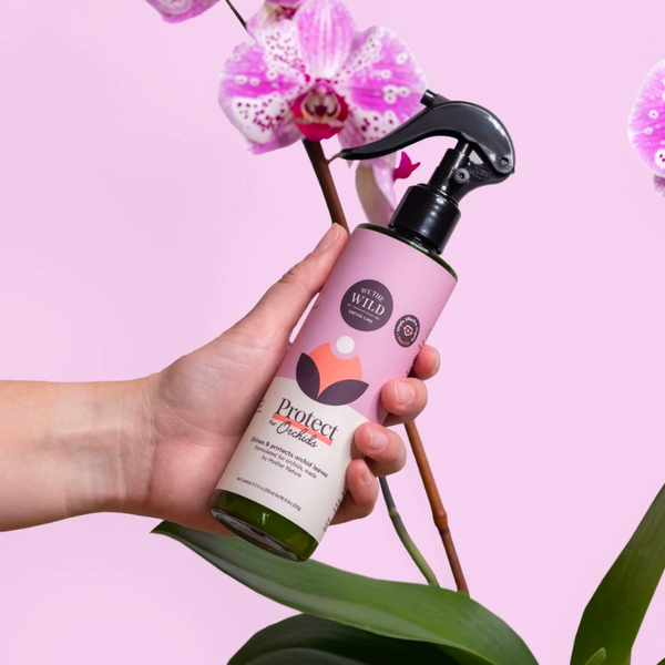 Orchid Care Duo Kit Giftbox