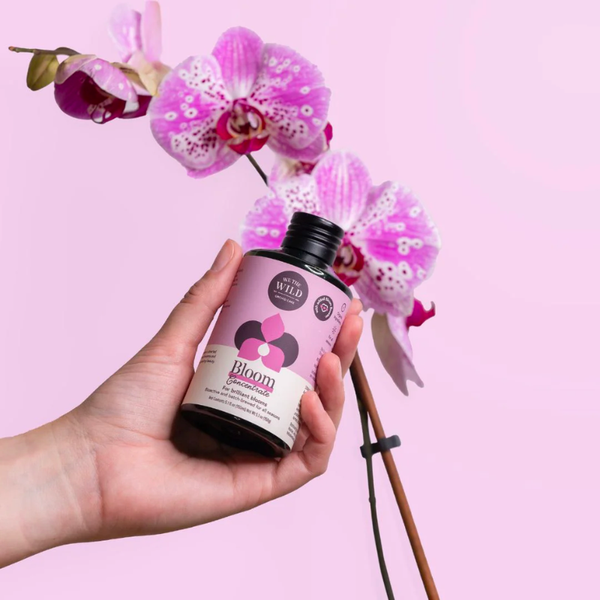 Orchid Care Duo Kit Giftbox