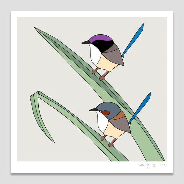 Purple Crowned Fairy-Wrens and Pandanus Art Print by Eggpicnic