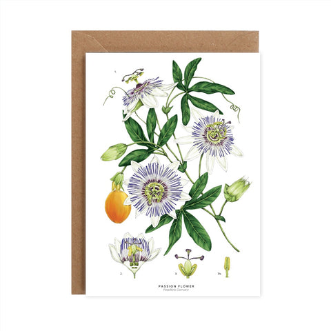 Passion Flower Greeting Card White
