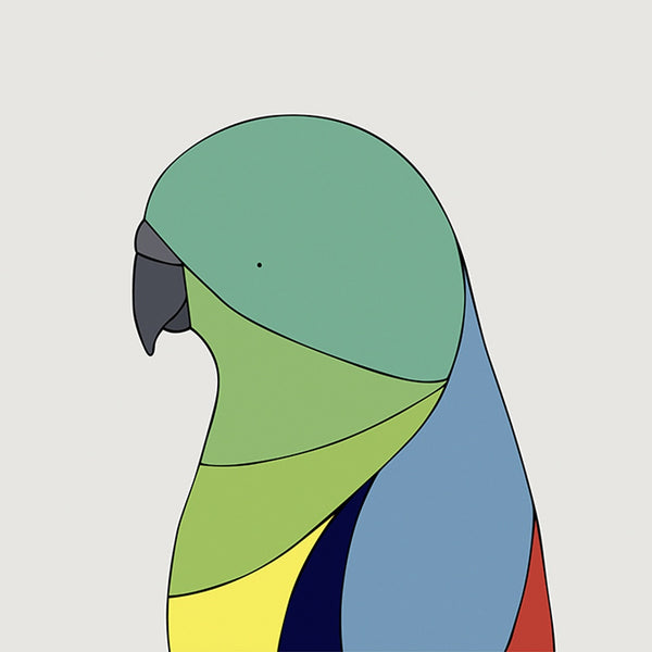 Red-Rumped Parrot Art Print by Eggpicnic