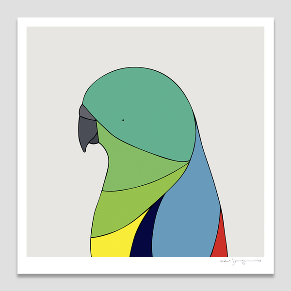 Red-Rumped Parrot Art Print by Eggpicnic