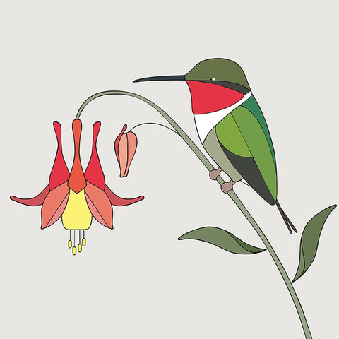 Ruby-Throated Hummingbird and Wild Eastern Columbine Art Print by Eggpicnic