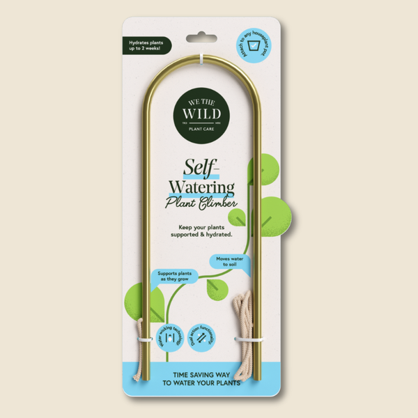 We the Wild Self Watering Plant Climber