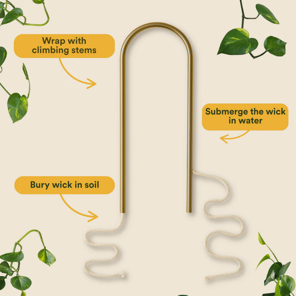 We the Wild Self Watering Plant Climber