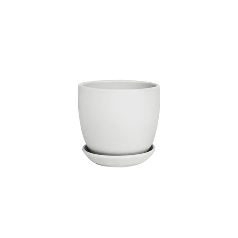 Tulip Pot with Saucer Small Matte White 12cm