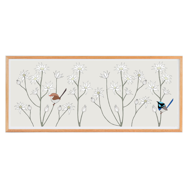 Superb Fairy-Wrens & Flannel Flowers Framed Print by Eggpicnic