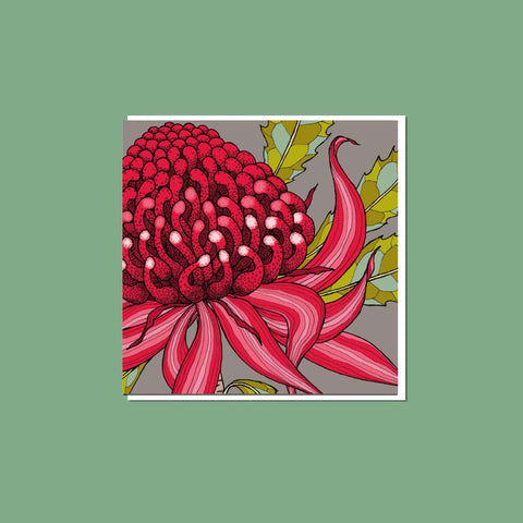 Waratah on Grey Greeting Card