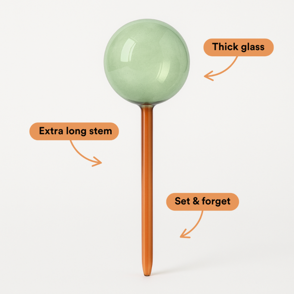 Self-Watering Glass Plant Globe