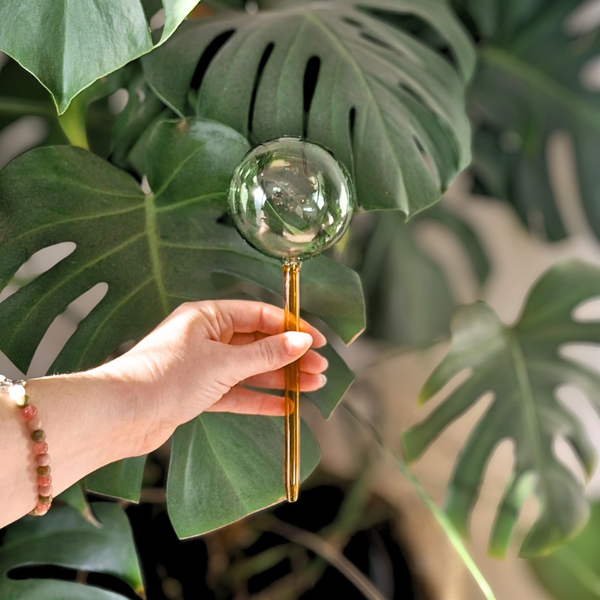 Self-Watering Glass Plant Globe