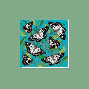 Wood White Jezebel Greeting Card