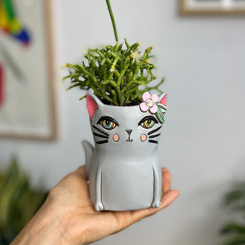 Rhipsalis in Baby Pretty Kitty Planter Grey