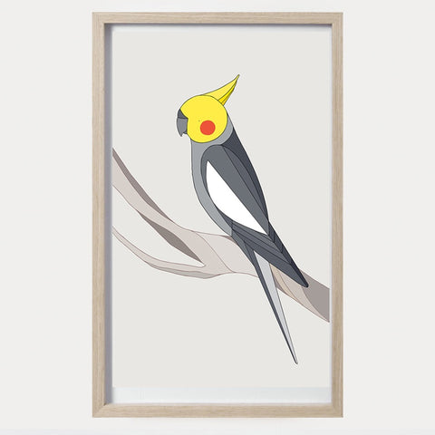 Cockatiel Framed Art Print by Eggpicnic