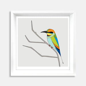 Rainbow Bee-Eater Framed Art Print by Eggpicnic