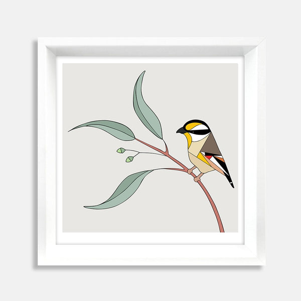 Striated Pardalote and Eucalyptus Framed Art Print by Eggpicnic