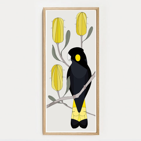 Yellow-Tailed Black Cockatoo and Banksia Framed Print by Eggpicnic