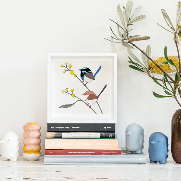 Superb Fairy-Wrens and Wattle Framed Art Print by Eggpicnic