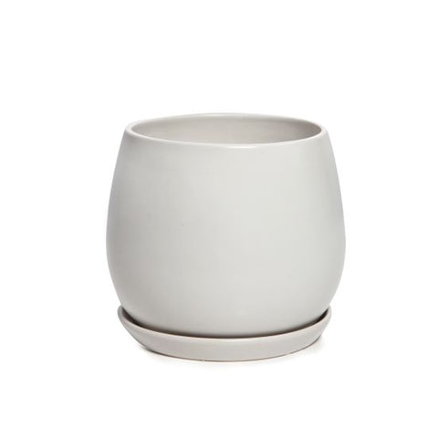 Egg Pot with Saucer Medium White 17cm