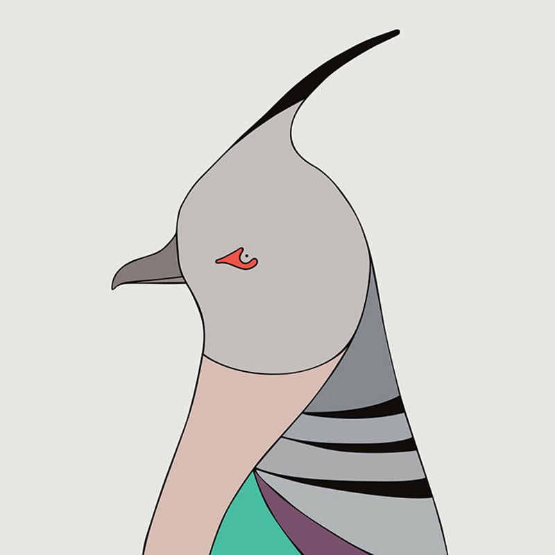 Crested Pigeon Art Print by Eggpicnic
