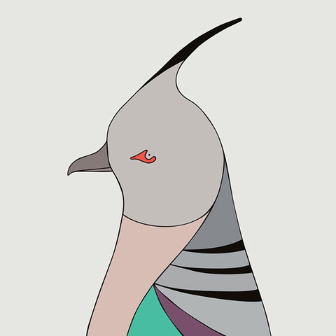 Crested Pigeon Art Print by Eggpicnic