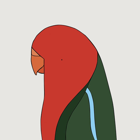 Australian King Parrot (Male) Art Print by Eggpicnic