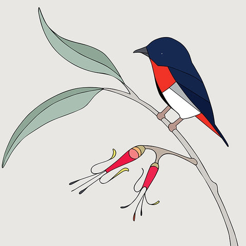 Mistletoe and Mistletoebird Art Print by Eggpicnic