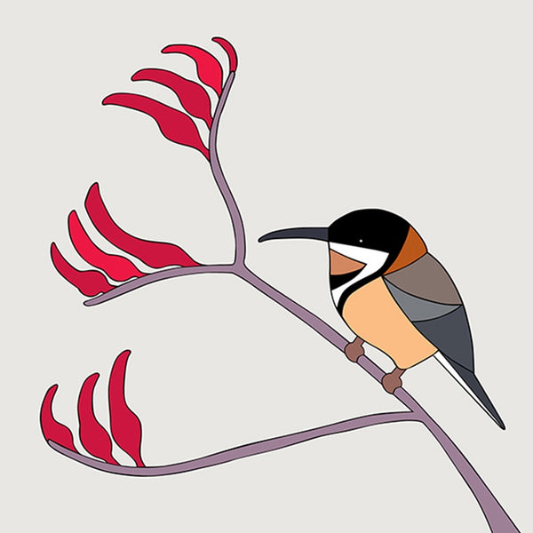 Eastern Spinebill and Kangaroo Paw Art Print by Eggpicnic