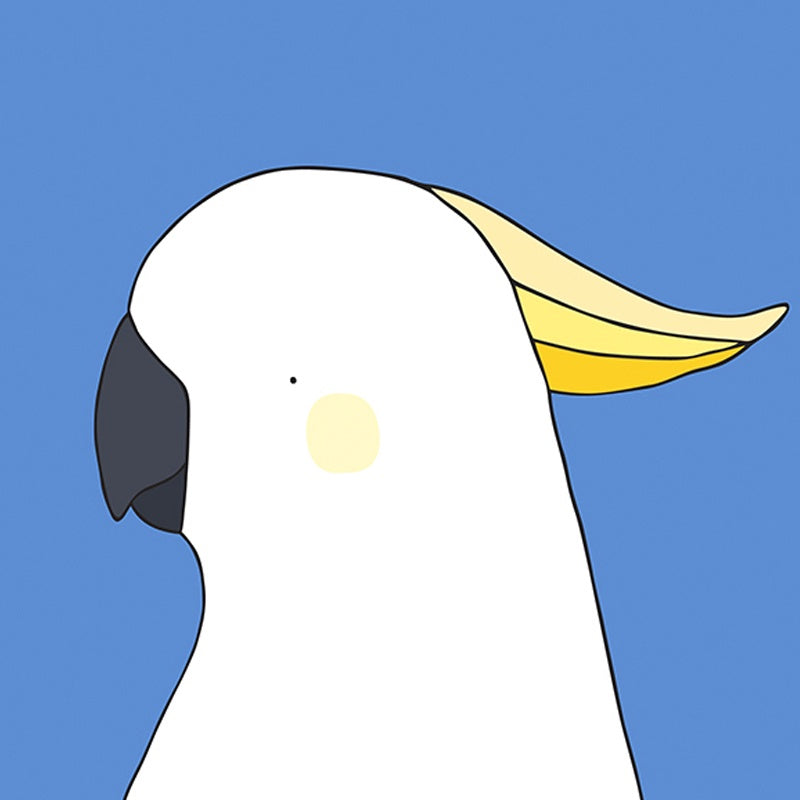 Sulphur-Crested Cockatoo Art Print by Eggpicnic