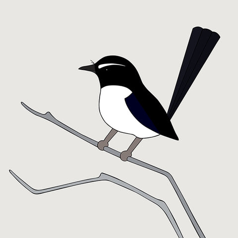 Willie Wagtail Art Print by Eggpicnic