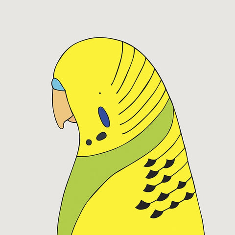 Budgerigar Art Print by Eggpicnic