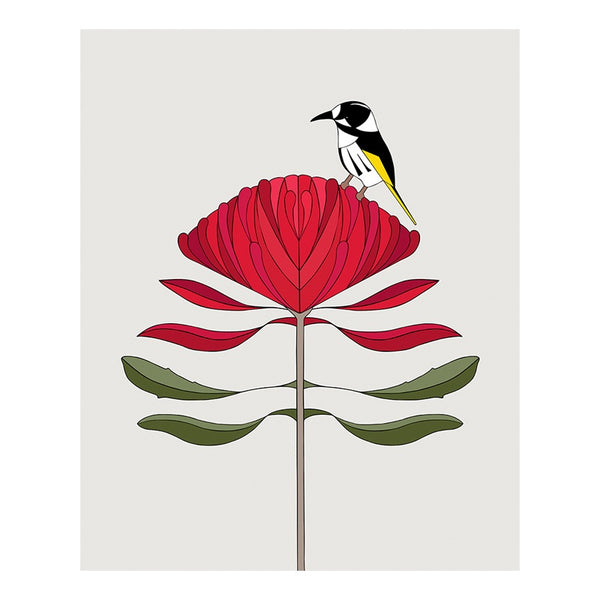 New Holland Honeyeater And Waratah Art Print by Eggpicnic”