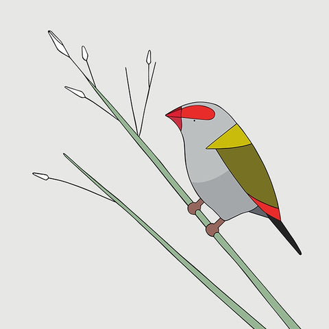 Red-Browned Finch Art Print by Eggpicnic