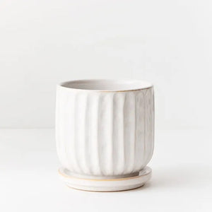 Clovelly Planter Pot with Saucer 12cm White