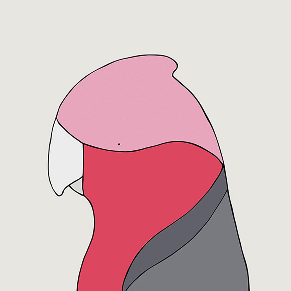 Galah Art Print by Eggpicnic