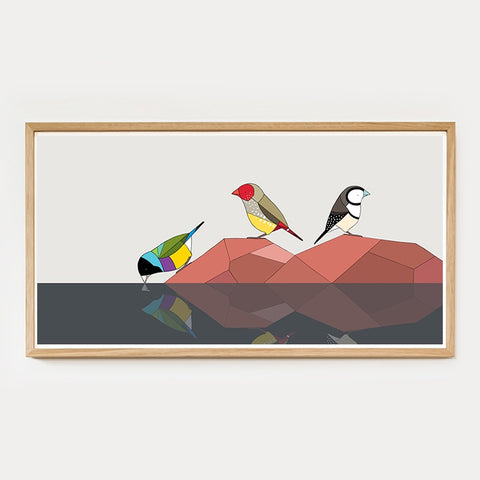Gouldian Finch, Star Finch and Double-Barred Finch Timber Framed Art Print