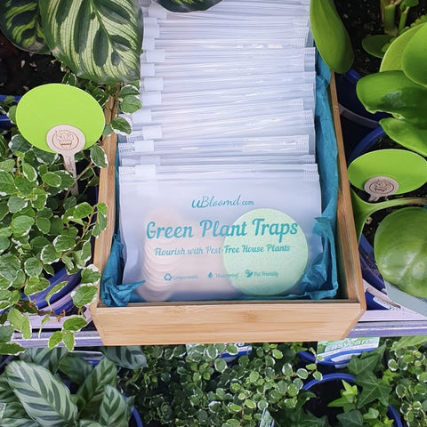 uBloomd Circle Green Plant Traps x10