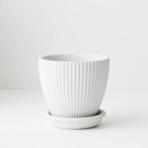 Johanna Pot with Saucer 14cm White