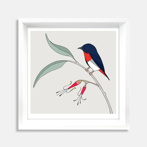 Mistletoe and Mistletoebird Framed Art Print by Eggpicnic