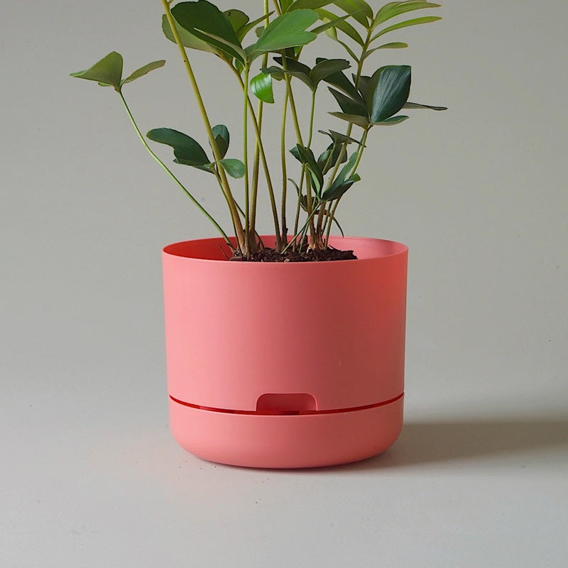 Mr Kitly Selfwatering Pot 21.5cm Persimmon