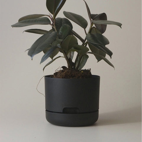 Mr Kitly Selfwatering Pot 17cm Recycled Black