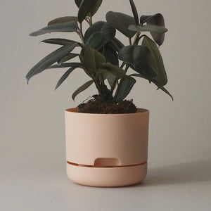 Mr Kitly Selfwatering Pot 17cm Pale Apricot