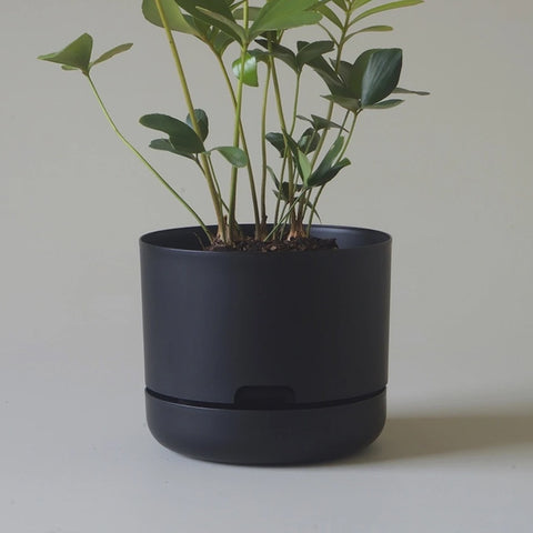Mr Kitly Selfwatering Pot 21.5cm Recycled Black