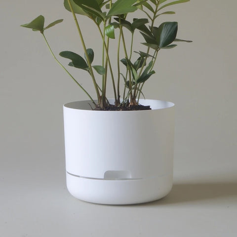 Mr Kitly Selfwatering Pot 21.5cm White