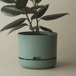 Mr Kitly Selfwatering Pot 25cm Cabinet Green