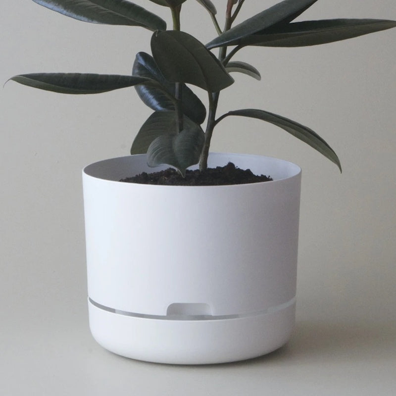 Mr Kitly Selfwatering Pot 25cm White