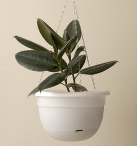 Mr Kitly Selfwatering Pot Hanging 34cm White