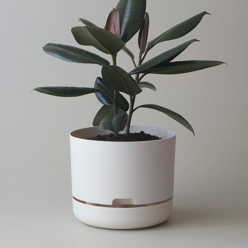 Mr Kitly Selfwatering Pot 25cm White Linen