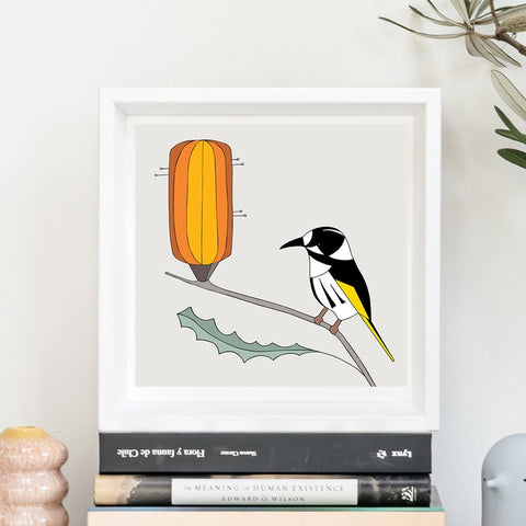 New Holland Honeyeater and Banskia Framed Art Print by Eggpicnic