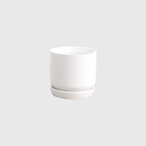 Cylinder Pot with Saucer Mini White 8cm