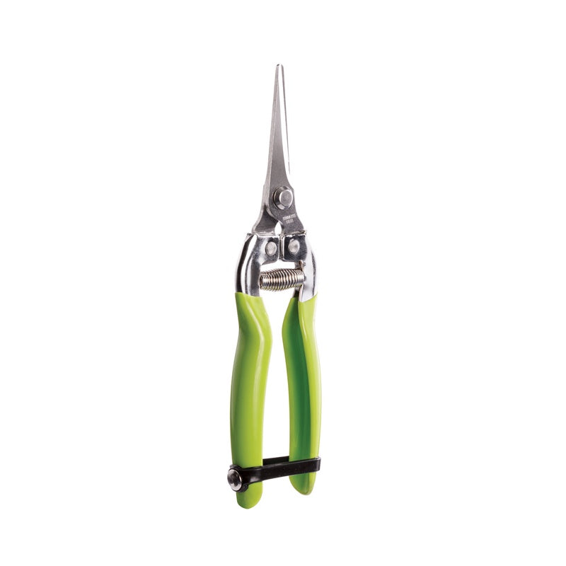 Pruning Snips – The Green Vine Plants